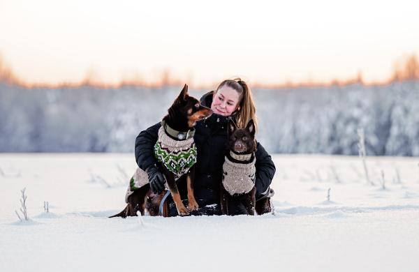 PrimaDog-brändilähettiläät Erika, Freya ja Ubbe harrastavat monia eri koiraurheilulajeja