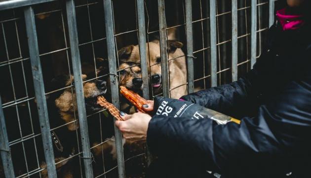 PrimaDog ja Pet Rescue Finland koirien  ruokinta koiratarhalla