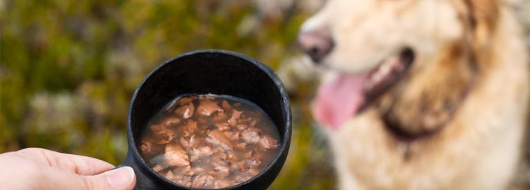 PrimaDog tips for diversifying dog food